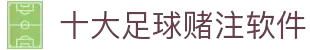 十大足球软件 - 登录入口与功能对比
